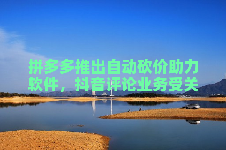 拼多多推出自动砍价助力软件，抖音评论业务受关注。