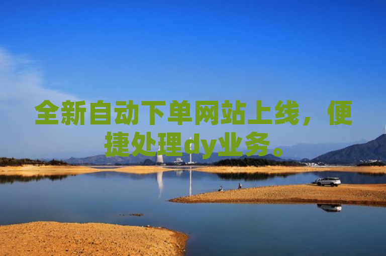全新自动下单网站上线，便捷处理dy业务。