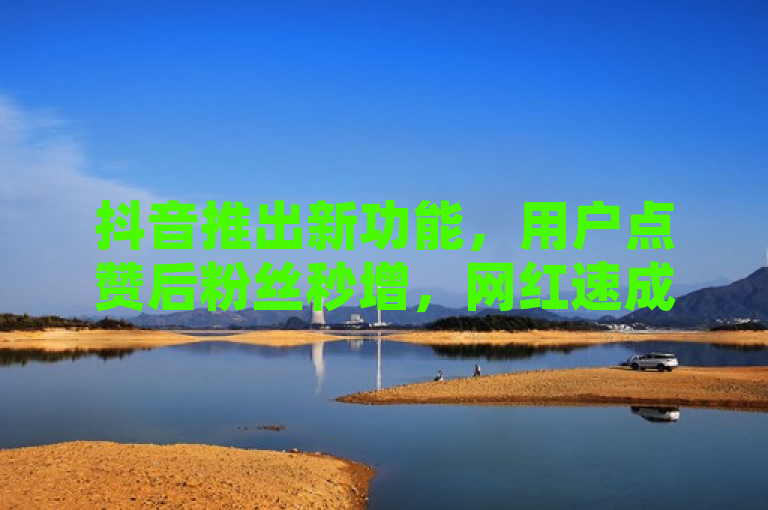 抖音推出新功能，用户点赞后粉丝秒增，网红速成现象引发热议。
