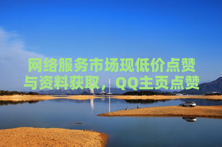 网络服务市场现低价点赞与资料获取，QQ主页点赞仅需1元起。