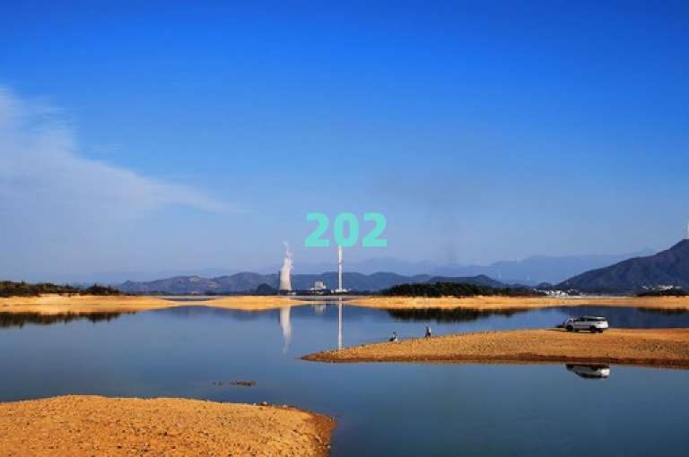 2025年必学，全网下单平台揭秘，成为最佳选择！