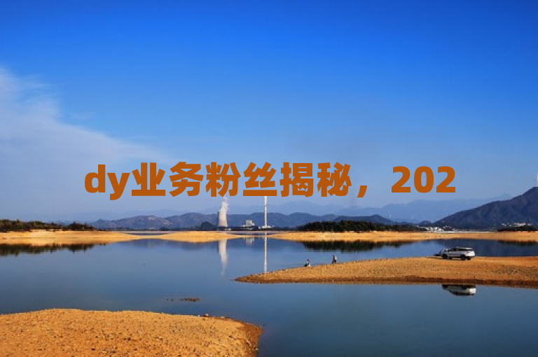 dy业务粉丝揭秘，2025必学，如何有效增加粉丝数量！