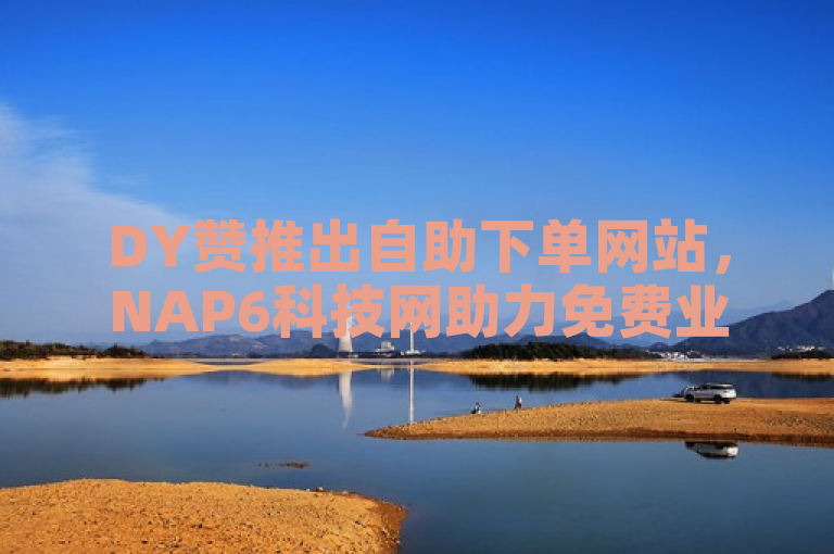 DY赞推出自助下单网站，NAP6科技网助力免费业务平台发展。
