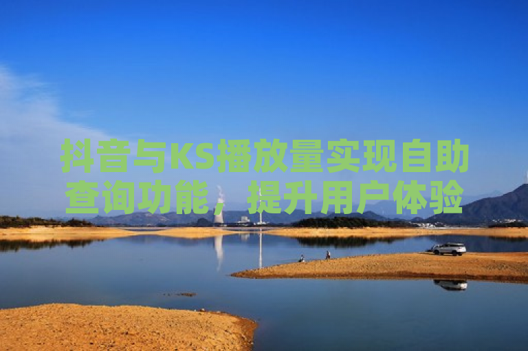 抖音与KS播放量实现自助查询功能，提升用户体验。