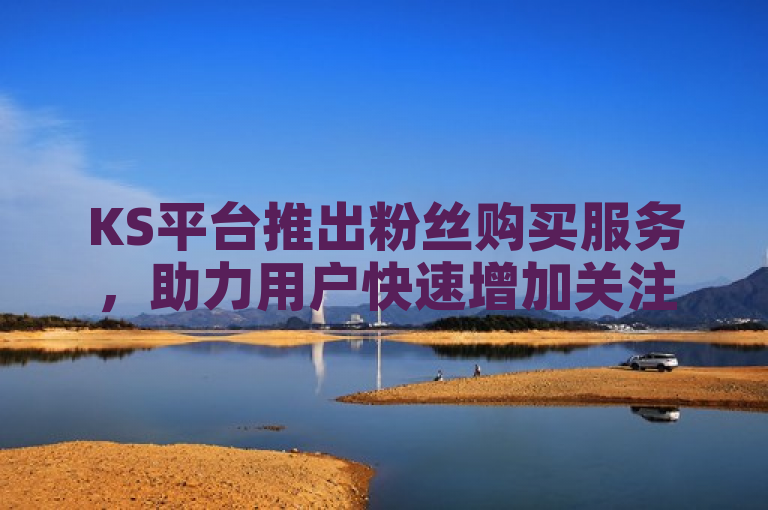 KS平台推出粉丝购买服务，助力用户快速增加关注度。