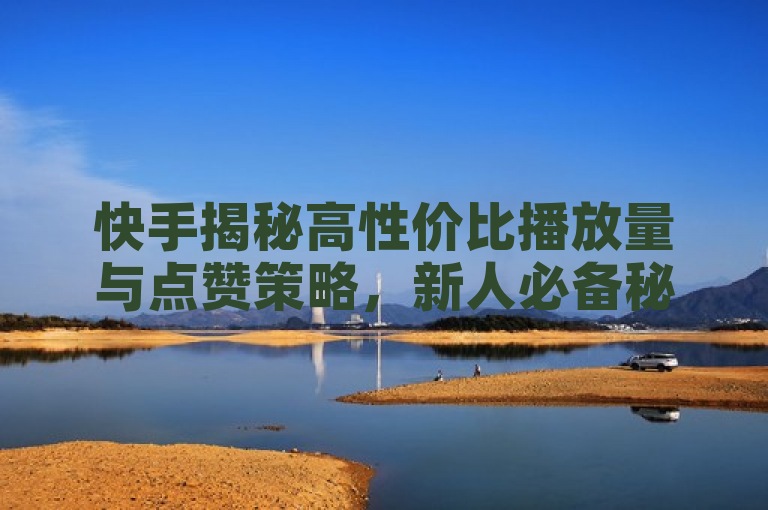 快手揭秘高性价比播放量与点赞策略，新人必备秘籍！