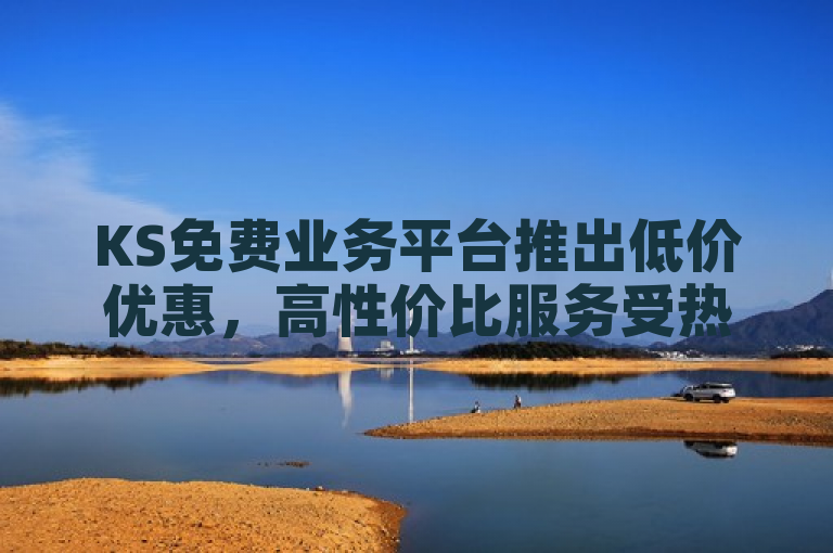 KS免费业务平台推出低价优惠，高性价比服务受热捧。