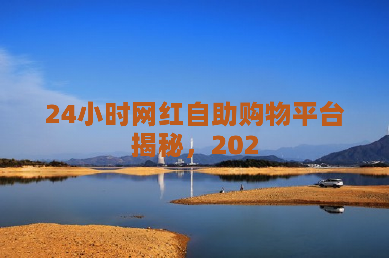 24小时网红自助购物平台揭秘，2025年新体验引领潮流！
