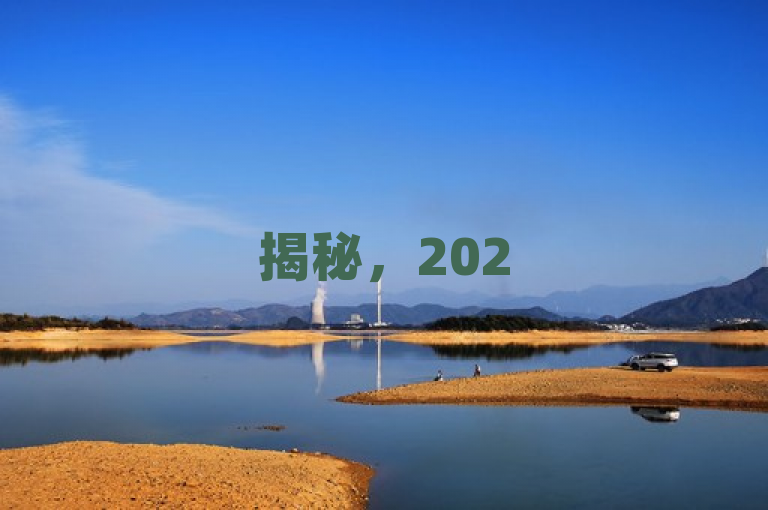 揭秘，2025年如何购买抖音作品点赞量，独家教程公开！