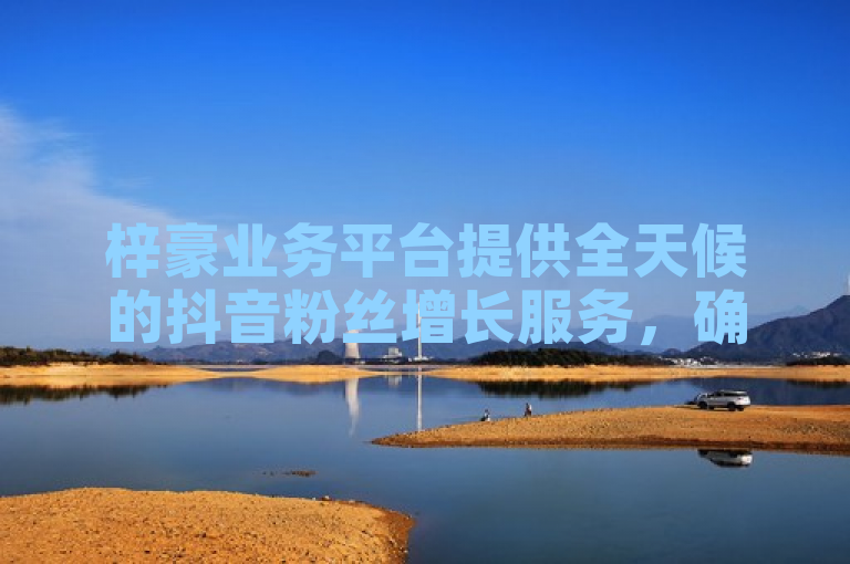 梓豪业务平台提供全天候的抖音粉丝增长服务，确保用户随时提升社交媒体影响力。