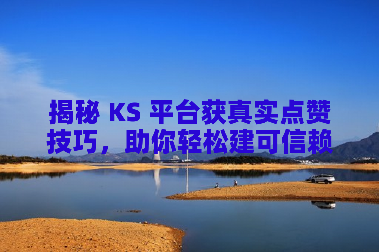 揭秘 KS 平台获真实点赞技巧，助你轻松建可信赖在线声望。