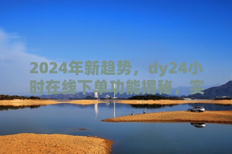 2024年新趋势，dy24小时在线下单功能揭秘，实现全天候无缝购物体验。