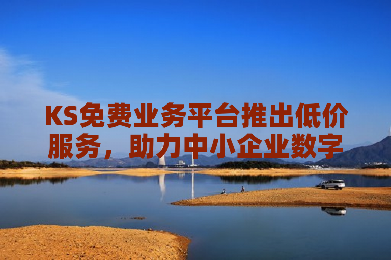 KS免费业务平台推出低价服务，助力中小企业数字化转型。