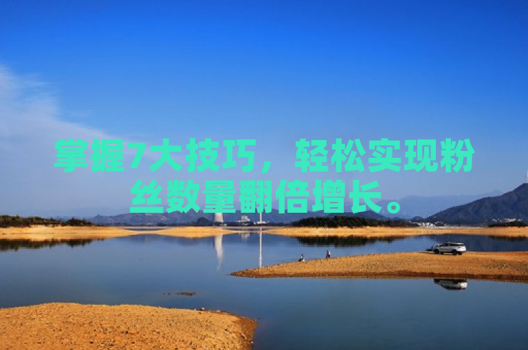 掌握7大技巧，轻松实现粉丝数量翻倍增长。