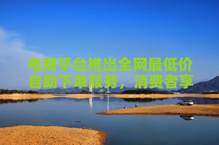 电商平台推出全网最低价自助下单服务，消费者享受免费促销优惠。