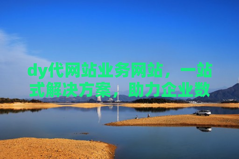 dy代网站业务网站，一站式解决方案，助力企业数字化转型。