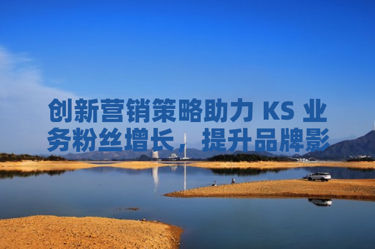 创新营销策略助力 KS 业务粉丝增长,提升品牌影响力。