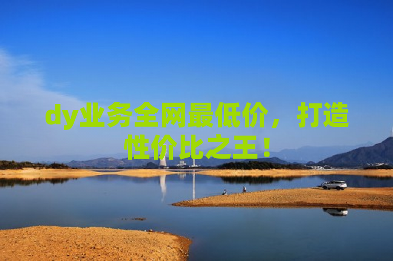dy业务全网最低价，打造性价比之王！