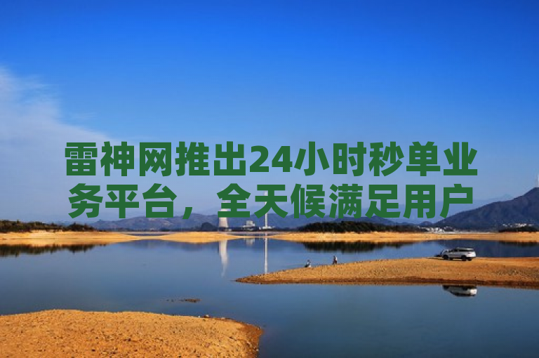 雷神网推出24小时秒单业务平台，全天候满足用户需求。
