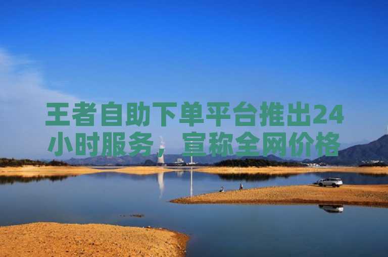 王者自助下单平台推出24小时服务，宣称全网价格最低。