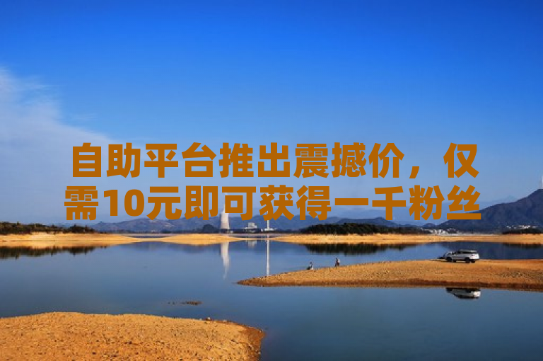 自助平台推出震撼价，仅需10元即可获得一千粉丝，助力社交媒体成长。