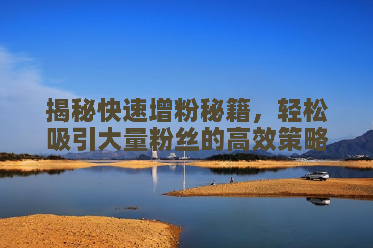 揭秘快速增粉秘籍，轻松吸引大量粉丝的高效策略！