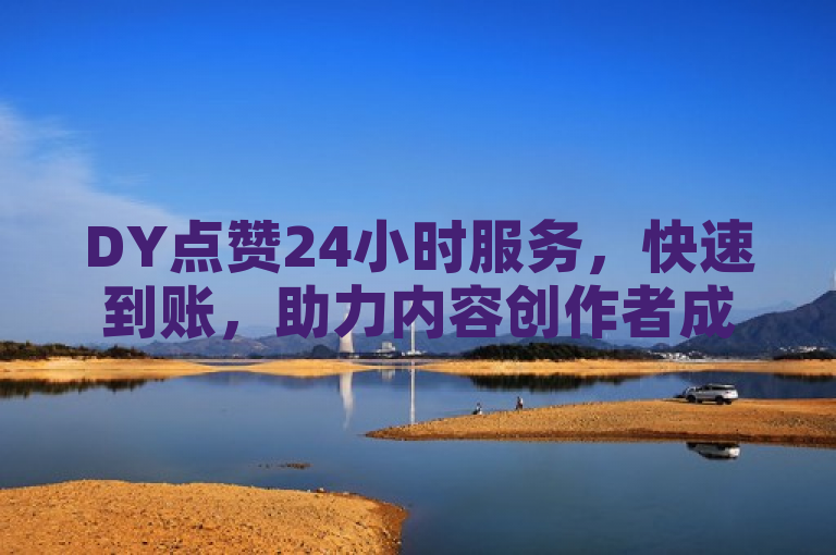 DY点赞24小时服务，快速到账，助力内容创作者成长。
