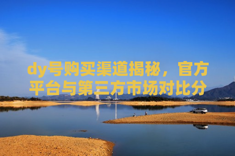dy号购买渠道揭秘，官方平台与第三方市场对比分析。