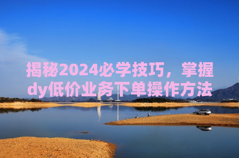 揭秘2024必学技巧，掌握dy低价业务下单操作方法。