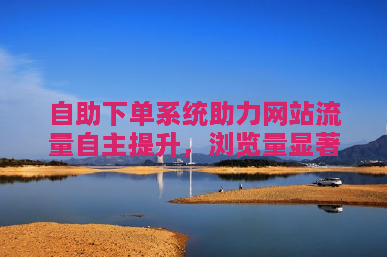 自助下单系统助力网站流量自主提升，浏览量显著增长。