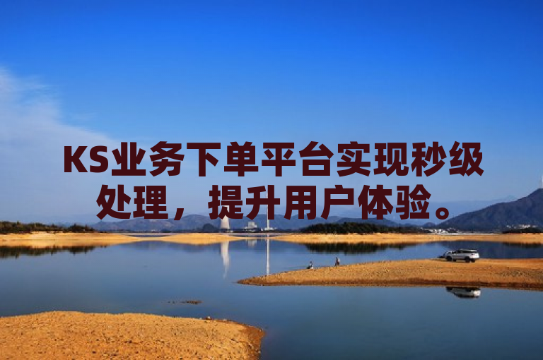 KS业务下单平台实现秒级处理，提升用户体验。