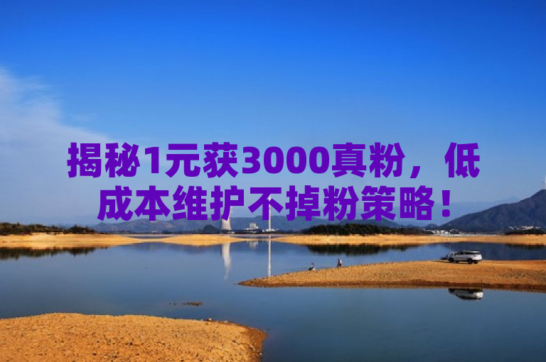 揭秘1元获3000真粉，低成本维护不掉粉策略！