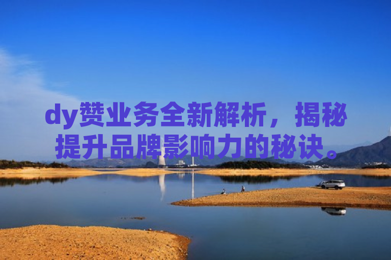 dy赞业务全新解析，揭秘提升品牌影响力的秘诀。