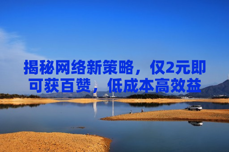 揭秘网络新策略，仅2元即可获百赞，低成本高效益的社交互动技巧。