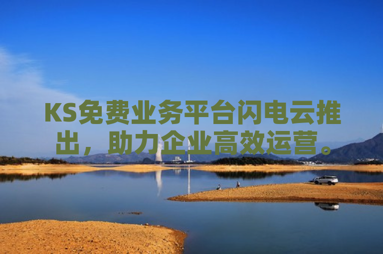 KS免费业务平台闪电云推出，助力企业高效运营。
