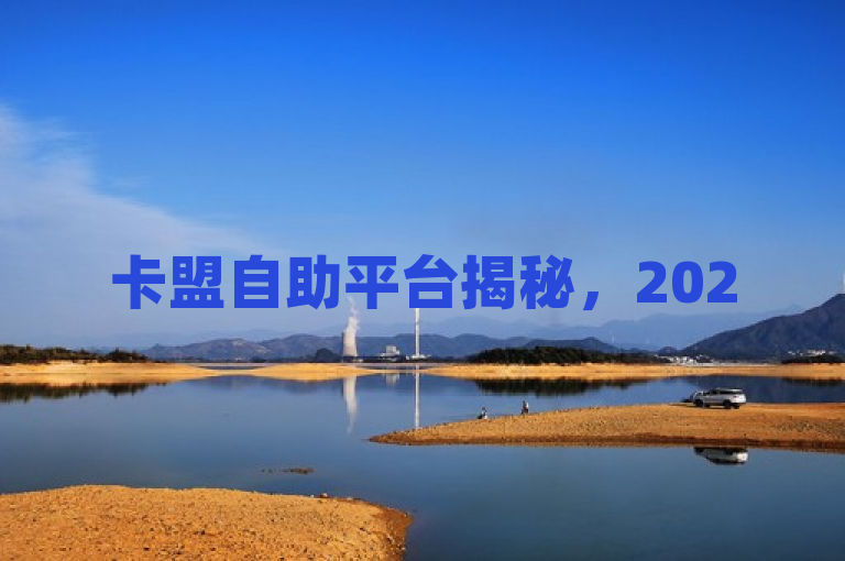 卡盟自助平台揭秘，2025年必学，轻松开展业务！