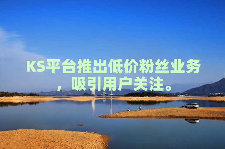 KS平台推出低价粉丝业务，吸引用户关注。
