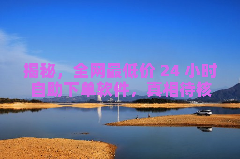 揭秘，全网最低价 24 小时自助下单软件，真相待核。