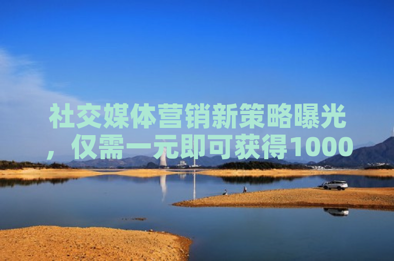 社交媒体营销新策略曝光，仅需一元即可获得1000名活跃粉丝。