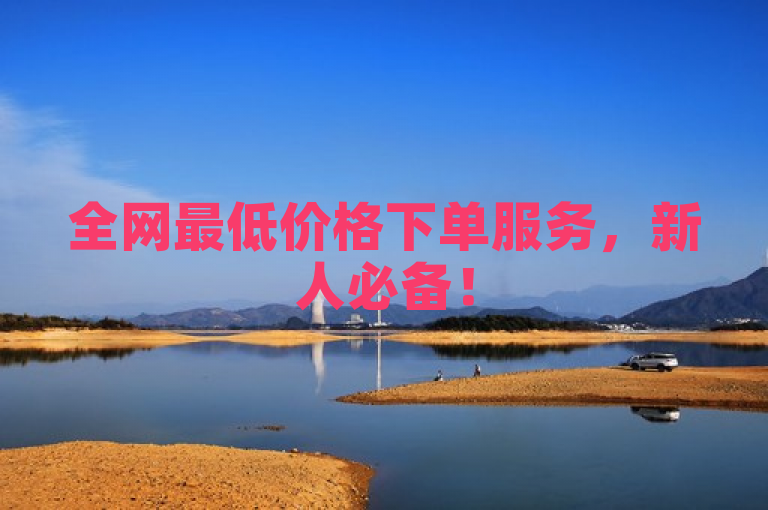 全网最低价格下单服务，新人必备！