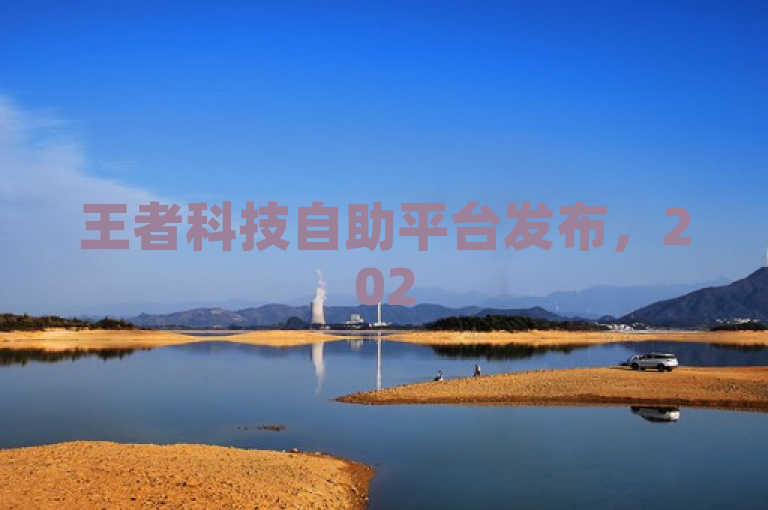 王者科技自助平台发布，2025年必学技能助力工具。
