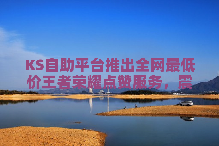 KS自助平台推出全网最低价王者荣耀点赞服务，震撼业界。