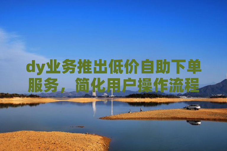 dy业务推出低价自助下单服务，简化用户操作流程。