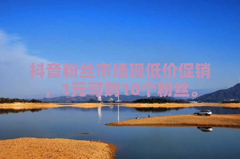 抖音粉丝市场现低价促销，1元可购10个粉丝。