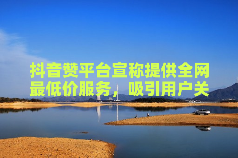 抖音赞平台宣称提供全网最低价服务，吸引用户关注。