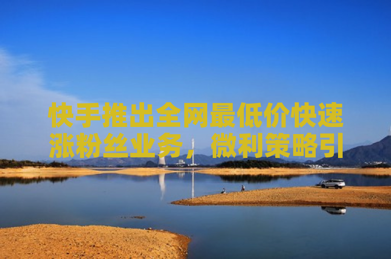 快手推出全网最低价快速涨粉丝业务，微利策略引爆市场。