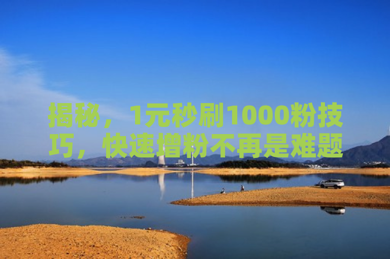 揭秘，1元秒刷1000粉技巧，快速增粉不再是难题。
