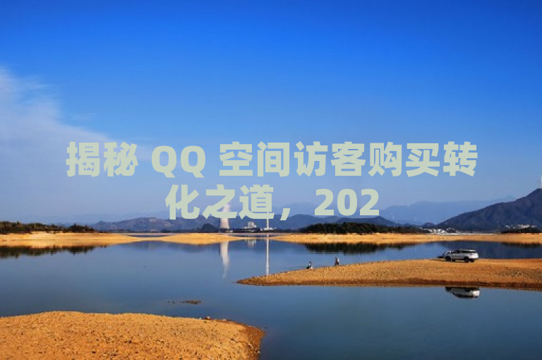 揭秘 QQ 空间访客购买转化之道，2025 关键策略。