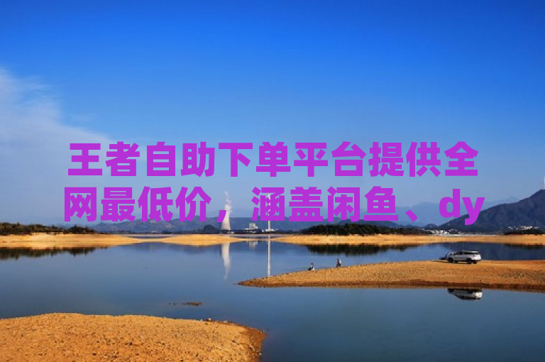 王者自助下单平台提供全网最低价，涵盖闲鱼、dy点赞及ks免费业务。