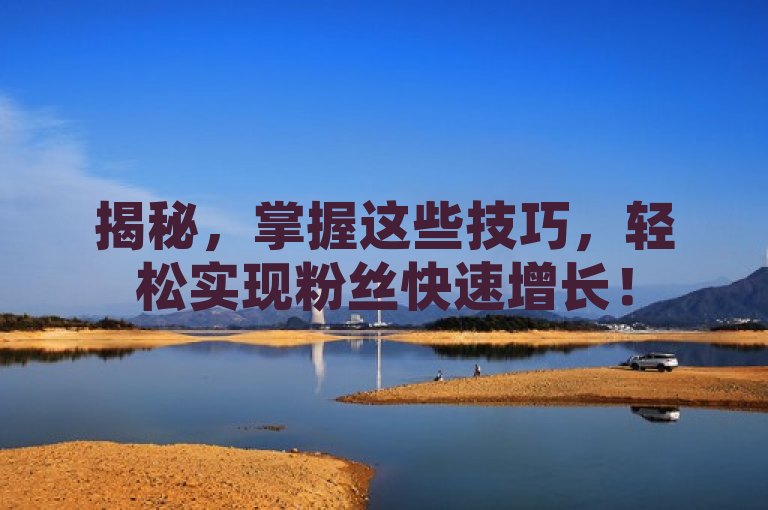 揭秘，掌握这些技巧，轻松实现粉丝快速增长！